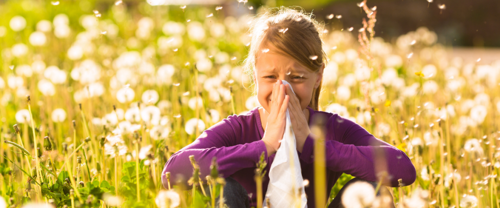 allergie primaverili